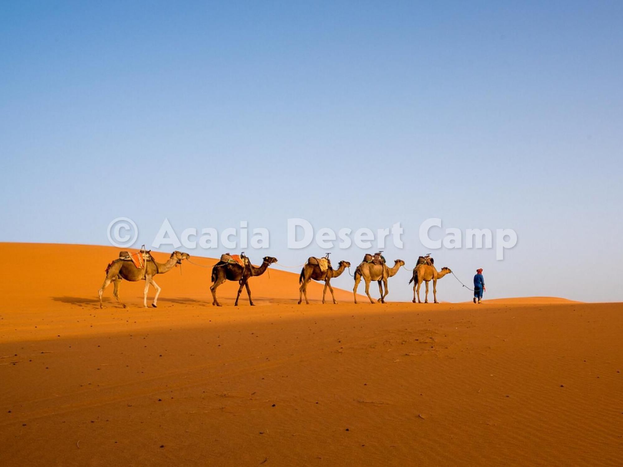 Hotel Acacia Desert Camp Merzouga Exterior foto